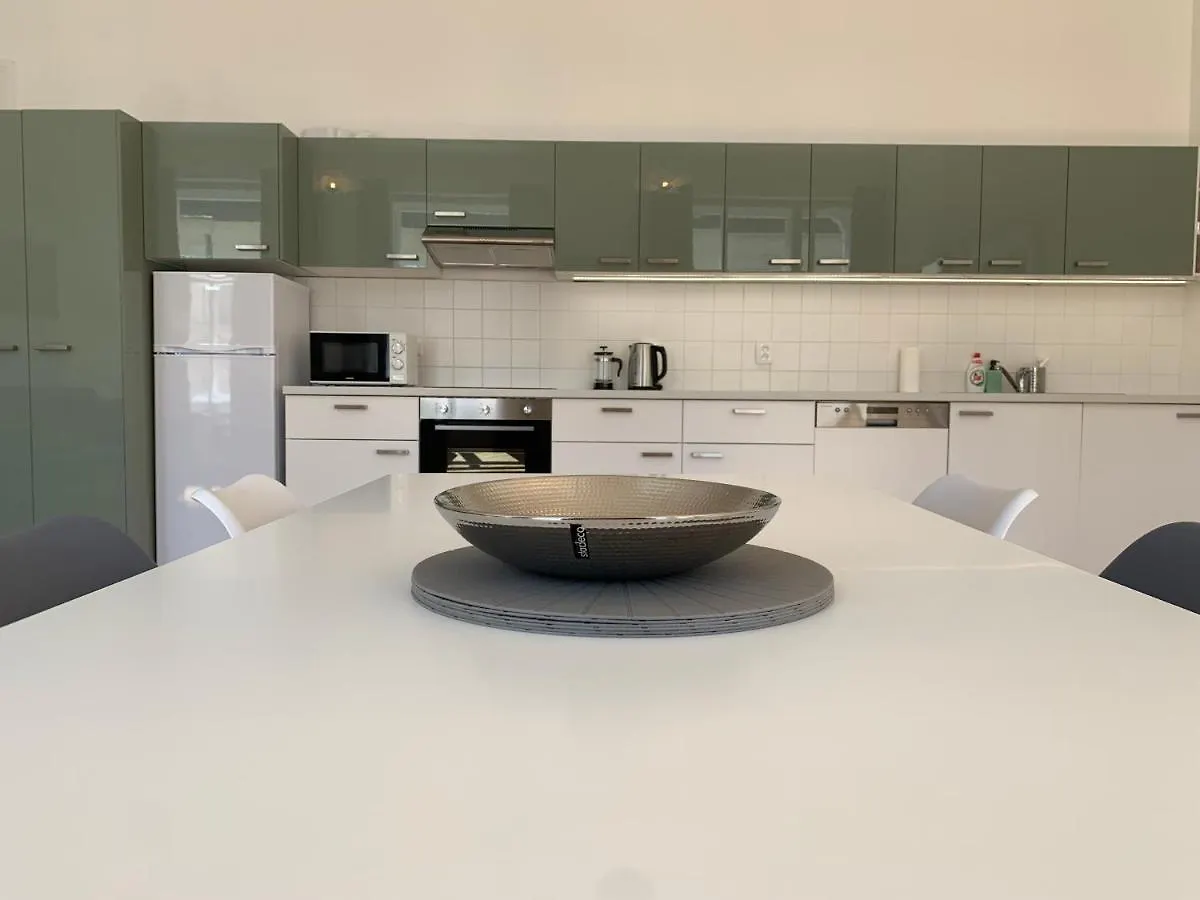 Vip City Center Apartment 布拉格