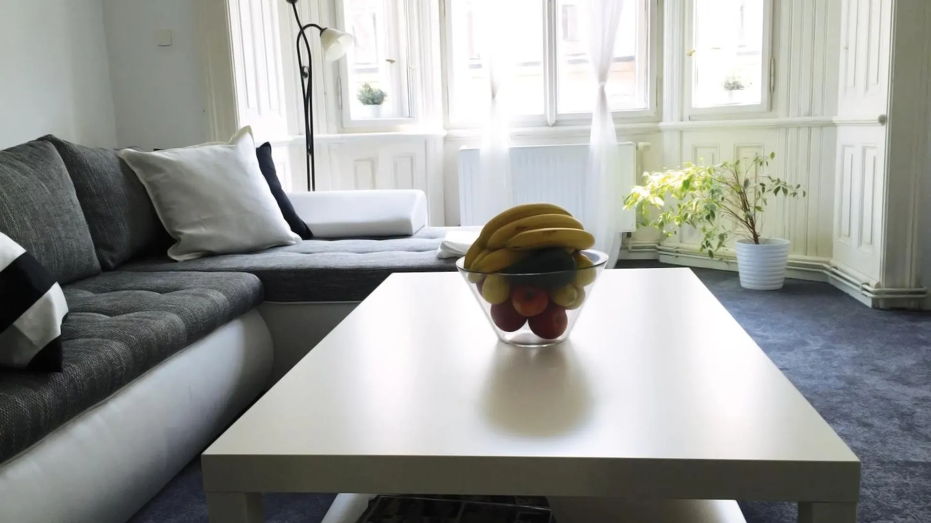 Vip City Center Apartment 布拉格